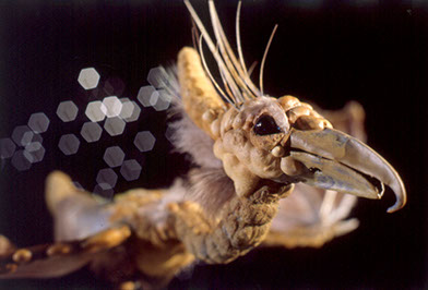 Christin Schindler Animationsfilm Simara