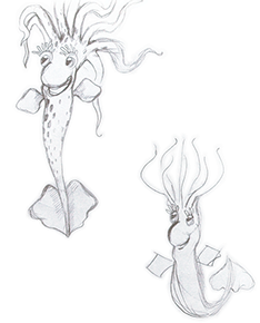 Illustration Sepiu