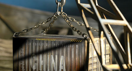 Christin Schindler Tiere der Großstadt Animationsfilm